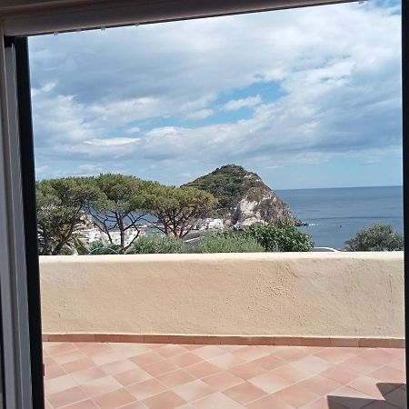 Ischia Island Parco Termale Tropical B&B 외부 사진