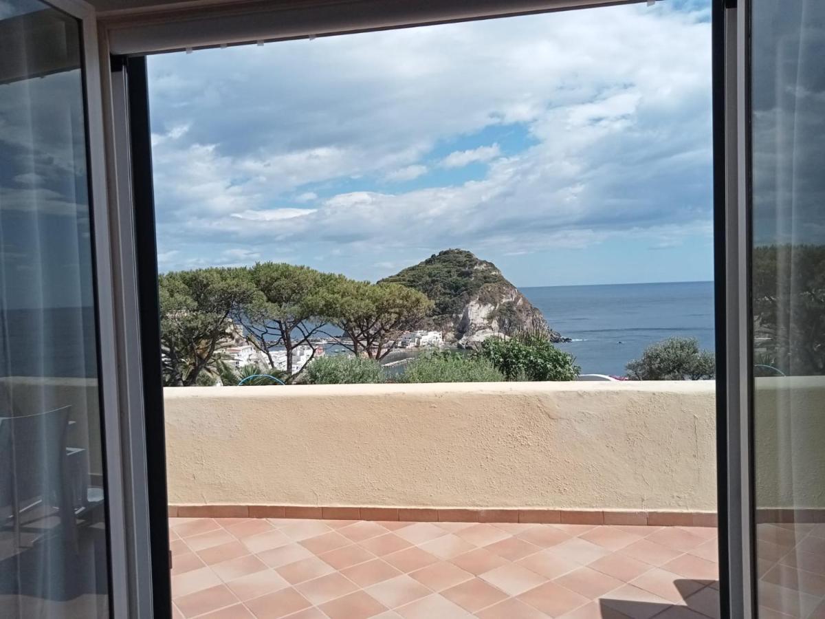 Ischia Island Parco Termale Tropical B&B 외부 사진