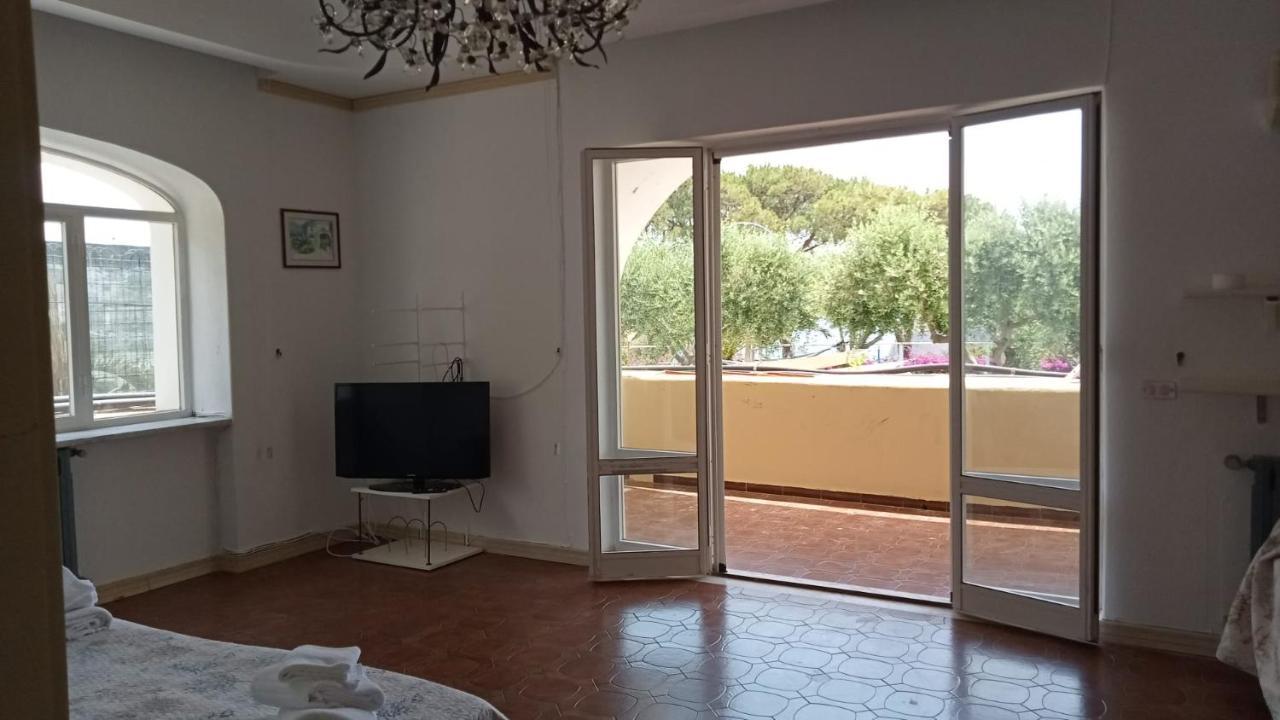 Ischia Island Parco Termale Tropical B&B 외부 사진