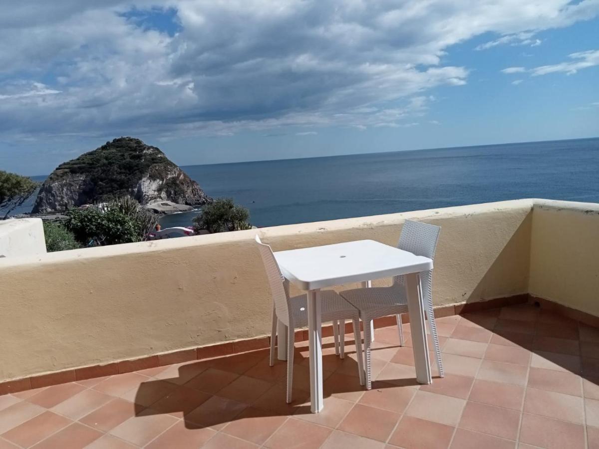 Ischia Island Parco Termale Tropical B&B 외부 사진